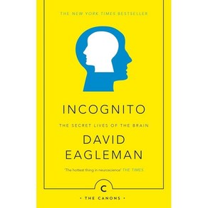 Incognito : The Secet Lives of The Bain, Canongate Books