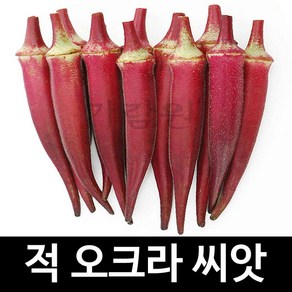 적 오크라 씨앗 고추 종자 채소 야채 판매 씨 20알, 1개