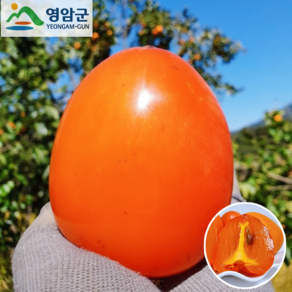 [꿀범벅] 대봉감 홍시 22브릭스 고당도 임금님진상품, 1개, 2kg (6~7과)