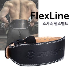 플렉스라인 헬스 벨트 역도벨트 가죽 웨이트 중량 FlexLine, 블랙, 450g