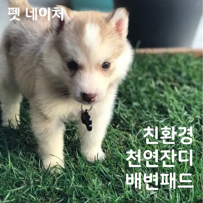 펫네이처 친환경 천연잔디 재사용 애견 배변패드