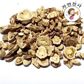 국산 독활 300g 땅두릅 깨끗한손질제품 자연건조, 재배독활300g, 1개