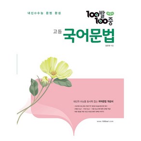 100발 100중 고등 문법 개념서 (25년용), 고등학생