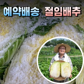 예약배송 강원도 해남 절임배추 고랭지 국산 소금 천일염 직거래 10kg 20kg 김치양념장 양념세트, 1개