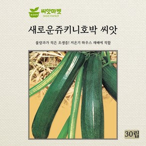 다농 새로운쥬키니애호박 씨앗 30립, 1개