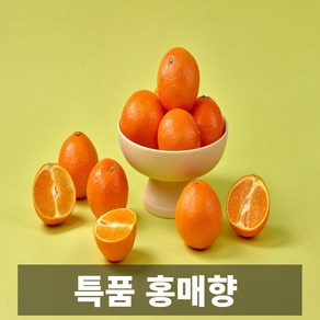 산지직송 달콤새콤 제주 홍매향, 1개, 5kg 대과 25-38과