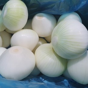 (10kg/Box) 수입 양파 식자재 깐양파[원산지:중국], 1개