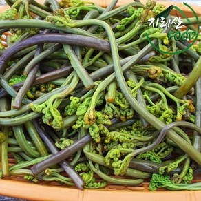햇고사리 국산 산청 삶은 고사리 1kg데친 산고사리, 1개, 500g