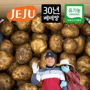 [농슐랭] 제주 무농약 유기농 대지마 감자 알감자 특감자 3kg 5kg 10kg, 1박스, 유기농 특감자 3kg