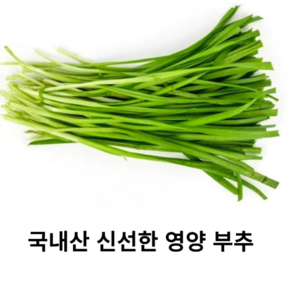 국내산 신선한 노지 부추 300g 500g 1kg 국산 햇 솔부추 약부추 제철 싱싱한 겨울 부추 당일수확 보약채소, 1개