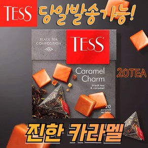 테스 카라멜참 삼각티백 36g