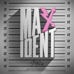 [CD] 스트레이 키즈 (Stay Kids) - MAXIDENT [T-CRUSH ve. / HEART ve. 중 랜덤 발송] [일반반](재판) : *[...