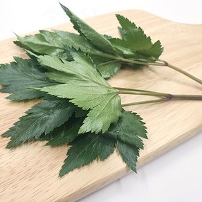 야채왕 당귀 500g 당귀잎, 1개