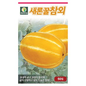 새론 꿀참외 씨앗 50립 - 참외 참외씨 꿀참외 야채씨앗 채소씨앗 채소재배 종묘 종자 베란다 텃밭 씨 씨앗 오이 호박 방울토마토 수박, 1개