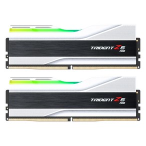 G.SKILL DDR5-5200 CL40 TRIDENT Z5 RGB J 실버 패키지 32GB(16Gx2)