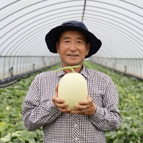 [호야랑농장] 프리미엄 천안수신메론 홈런스타 산지직송 초고당도, 1박스, 5kg (3~4수)