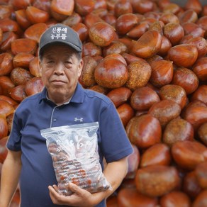 -맛있는 진짜 햇 공주밤 공주 옥광밤 알밤 생 깐밤 1kg 2kg, 1)공주햇밤 중 1kg(칼집X), 1개