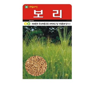 SN월드 씨앗 민속특수씨앗 약초 곰취 냉이 와송 삼채 더덕 도라지 당귀 잔디, 1개