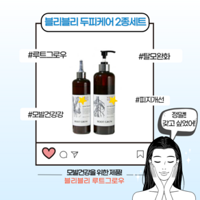 [본사정품] 블리블리 루트그로우 두피케어 2종세트 헤어샴푸 490ml 트리트먼트 300ml 탈모예방 정수리 모발건강 두피진정 피지개선 저자극, 1세트