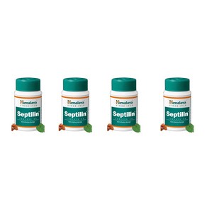 Himalaya Septilin Tablet Pack of 4 Set (Total 240 Tablets), 4개, 240정