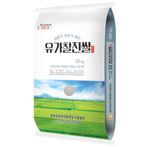 유가찰진쌀20kg/ 찹쌀이 섞여 찰진 쌀/ 2024년산 햅쌀, 1개, 20kg, 상등급