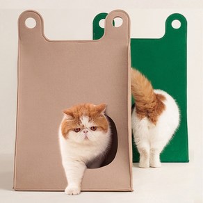 펫카인드 고양이 숨숨집 하우스, 1개, 그린