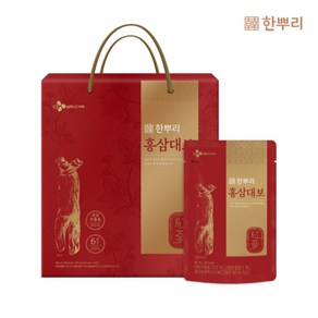 CJ 한뿌리 홍삼대보, 24개, 40ml