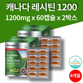 바이오 레시틴 레시친 대두유 혈행 NON GMO 혈중 나쁜 LDL 콜레스테롤 관리 개선 포스파티딜콜린 60캡슐 2박스 4개월 대용량