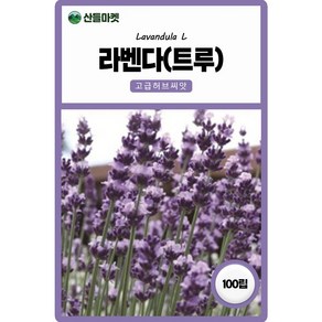 다농 라벤다 씨앗 100립 라벤더 트루 꽃씨 허브 종자, 1개