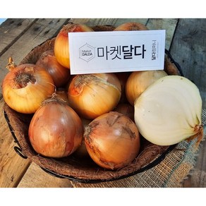 국내산 양파 양파 무안 함평 해남 등 산지출하중, 양파 10kg(특/대/혼합), 1개