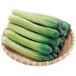 국내산 백오이 백다다기 오이 소박이 생식용 특품, 1박스, 2kg (특품, 8~12개)