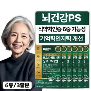 헬씨루틴 두뇌 기억력 인지력 케어 포스파티딜세린 징코 브레인