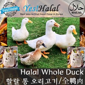 Yes!Global Halal Whole Duck 할랄 통오리 (2.4kg), 1팩, 2.4kg