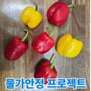 초특가 청담농수산 못난이 파프리카, 1개, 5kg