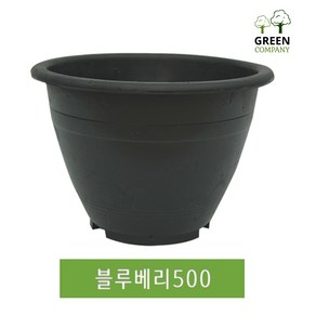 블루베리화분 대형화분 분갈이 텃밭 도로용 나무심기 옥상나무, 구멍 유(화분용), 블루베리420