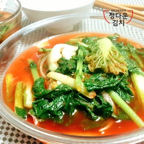 [정다운김치] 아이들도반한 국물맛일품 얼갈이 열무 물김치