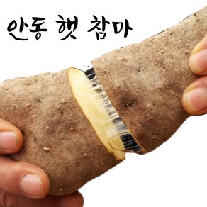 엄마네곳간 안동마 당일선별, 1박스, [장마] 상품 1kg