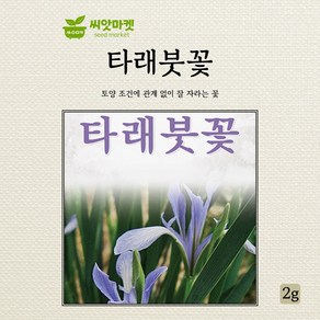 다농 타래붓꽃 씨앗 2g, 1개