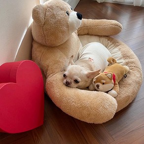 당감샵 강아지 고양이 방석 곰돌이허그쿠션