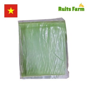 [루츠팜] 베트남 생 바나나잎 1kg 베트남바나나잎 banana leaf 생바나나잎