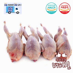 (배터짐) 해썹 후레쉬 메추리고기 메추리10마리, 750g, 1개