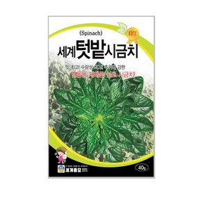 세계종묘 세계텃밭시금치씨앗 40g, 1개