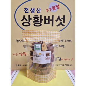 [천생산] 두번 건조한 2년산 상황버섯 (직접재배), 1박스, 150g