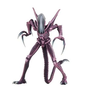 NECA 피규어 neca 네카 정품 에일리언, A NECA neca 피규어, 1개