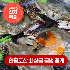 연평도 제철 최상급 급냉 냉동 꽃게