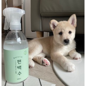 네츄럴 홈 실내탈취 반려동물 집진드기 새집증후군 제거 안심 탈취제 500ml +500ml, 2개