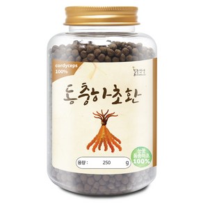 100% 동충하초환(국산) 250g(통) 건강환 분말 가루, 100 동충하초환[국산] 250g[통], 250g, 1개