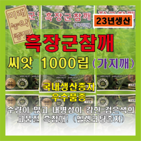 흑장군참깨 씨앗 (1000립), 1개