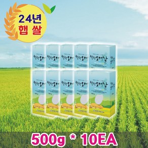 철원오대 500g 진공포장 10개 세트