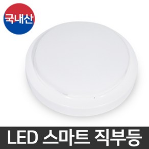 건식 LED 스마트 직부등 계단 복도 베란다등 현관, GS LED 스마트 직부등 12W (주광색)